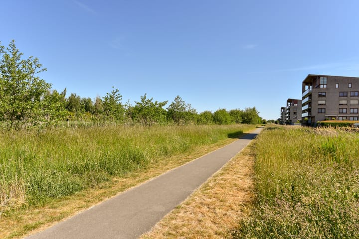 Foto 44 van Fluitekruid 30