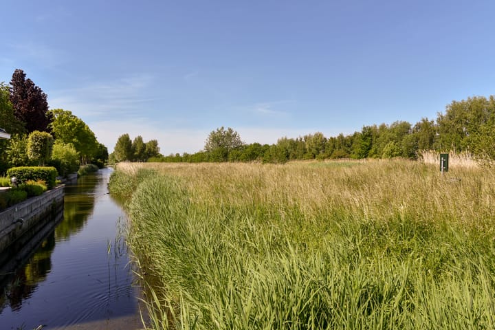 Foto 45 van Fluitekruid 30