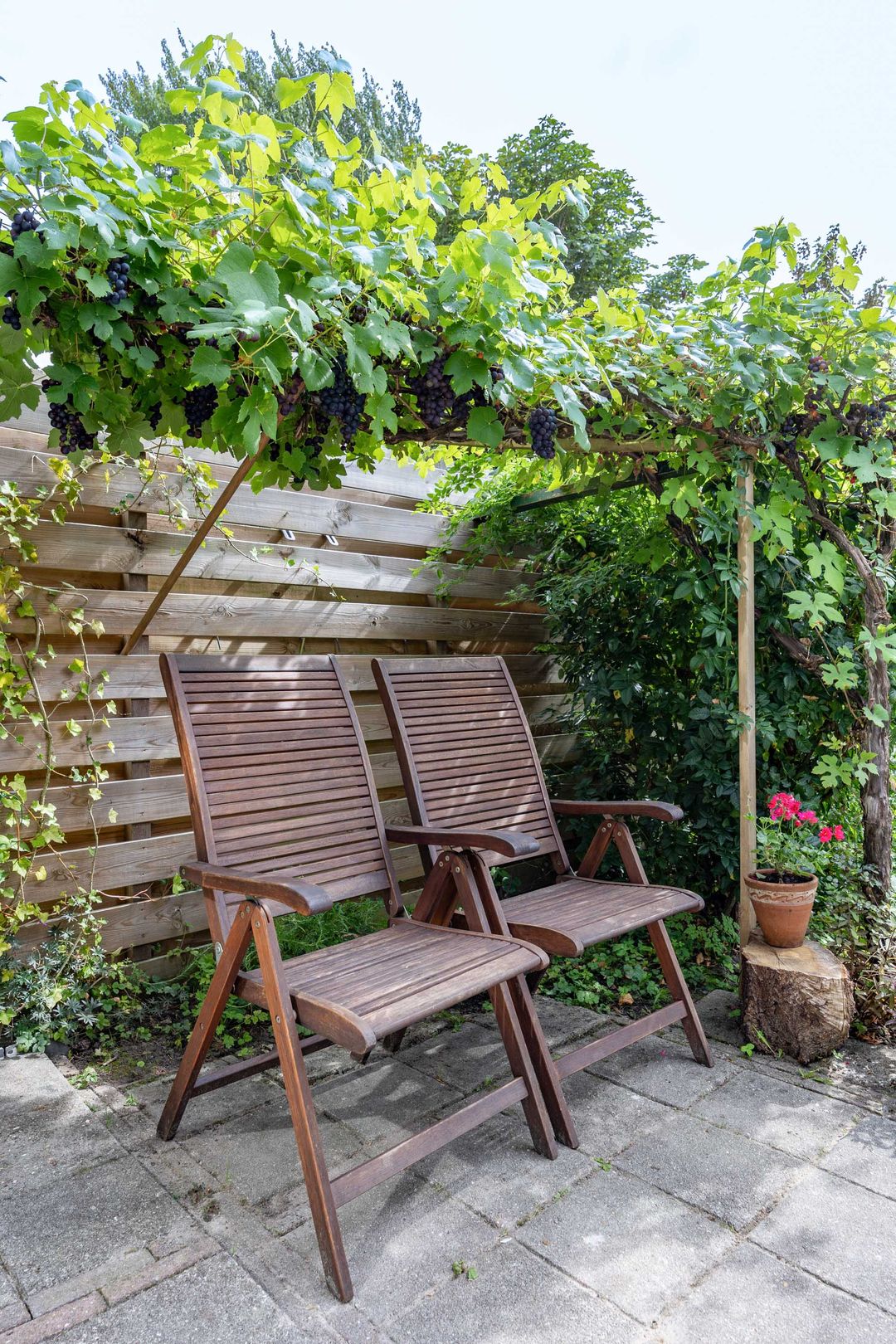 Foto 52 van Violenstraat 26