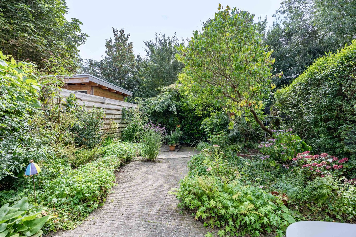 Foto 55 van Violenstraat 26