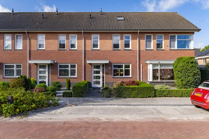 Foto 1 van Citroenvlinder 22