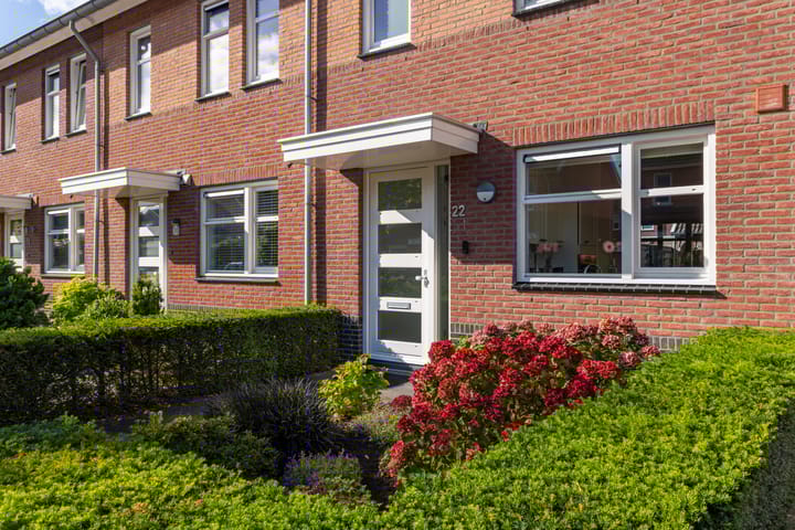 Foto 2 van Citroenvlinder 22