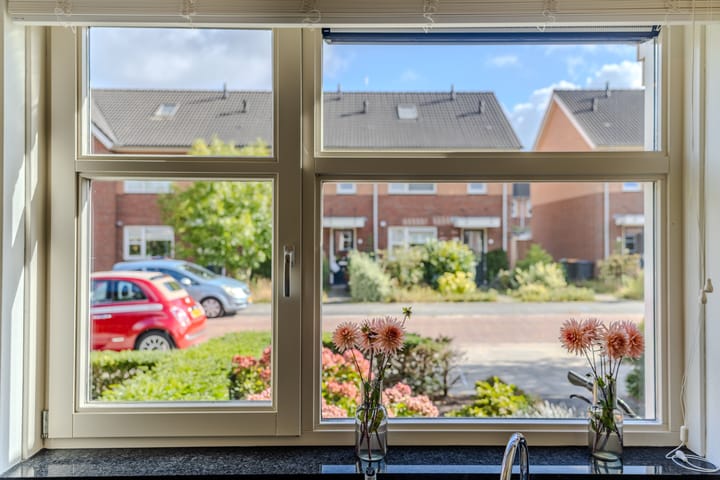 Foto 13 van Citroenvlinder 22