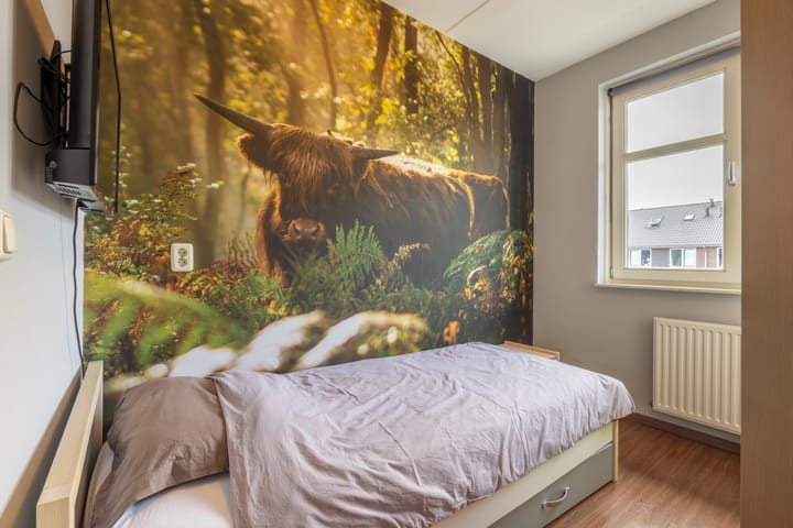 Foto 18 van Citroenvlinder 22