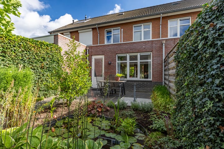 Foto 30 van Citroenvlinder 22