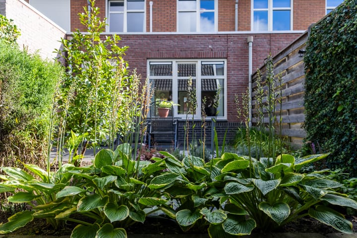 Foto 31 van Citroenvlinder 22