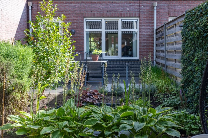 Foto 32 van Citroenvlinder 22