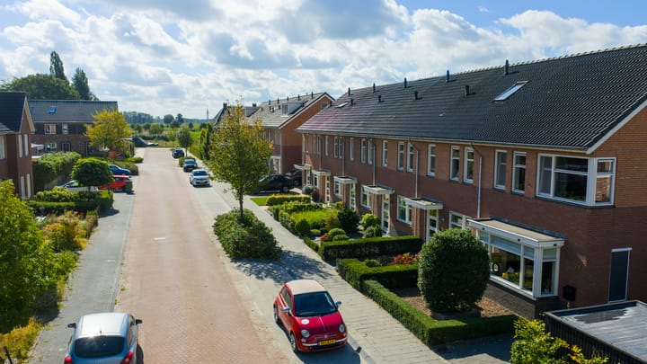 Foto 36 van Citroenvlinder 22