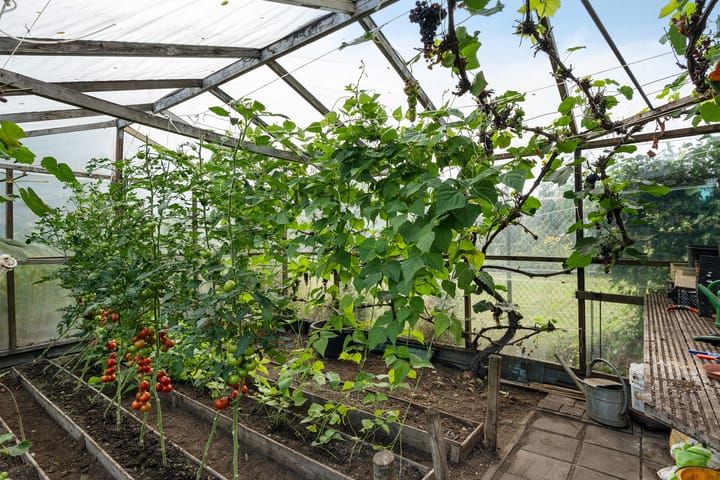 Photo 38 of Westerdiep OZ 107