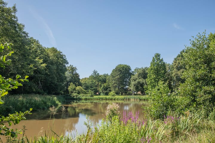 Foto 29 van Vincent van Goghlaan 9