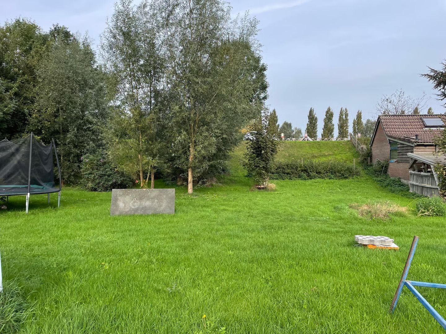 Photo 3 of Wieldrechtse Zeedijk 102-A