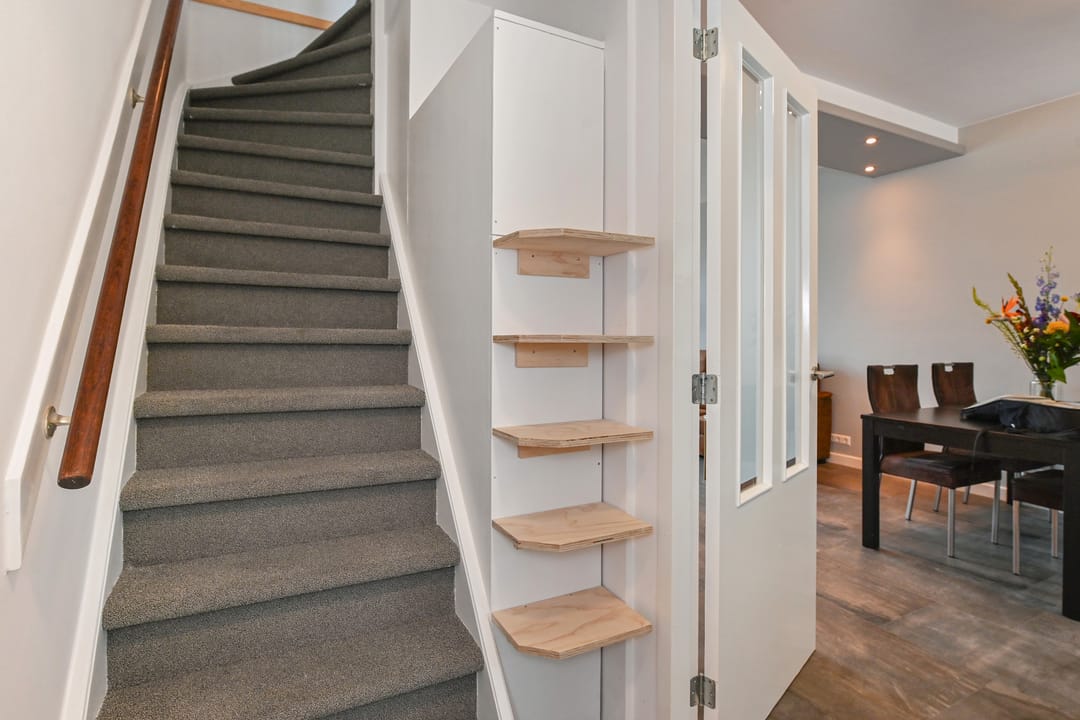 Foto 17 van 1e Van Reenenstraat 10