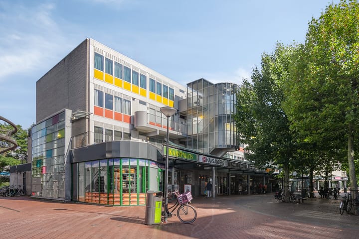 Foto 4 van Reigersbos 125