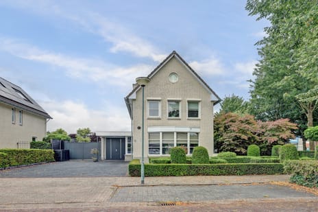 undefined main image