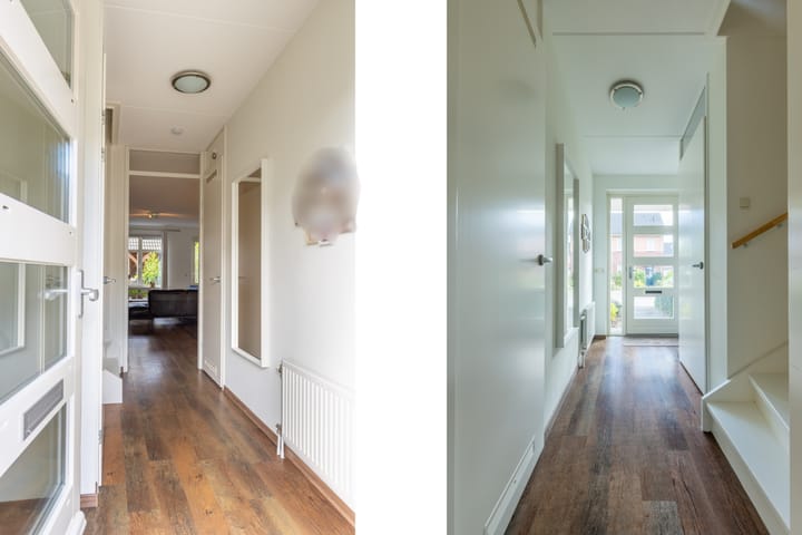 Foto 3 van Citroenvlinder 22