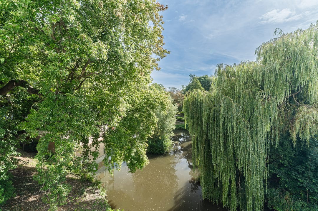 Foto 8 van Oude Vlijmenseweg 245