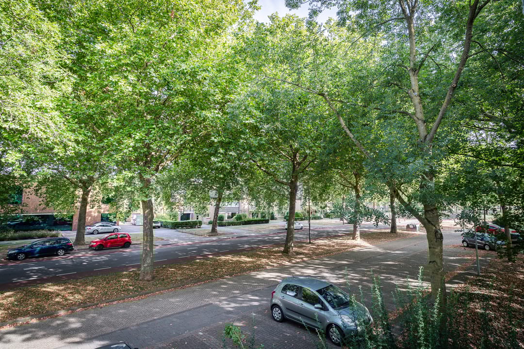 Foto 13 van Oude Vlijmenseweg 245