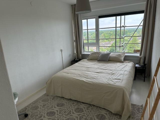 Foto 9 van Graaf Willem de Oudelaan 149