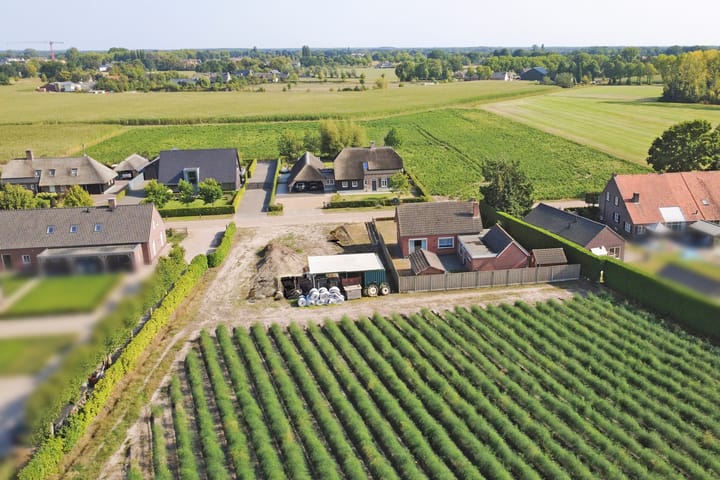 Photo 2 of Kattenbos 8