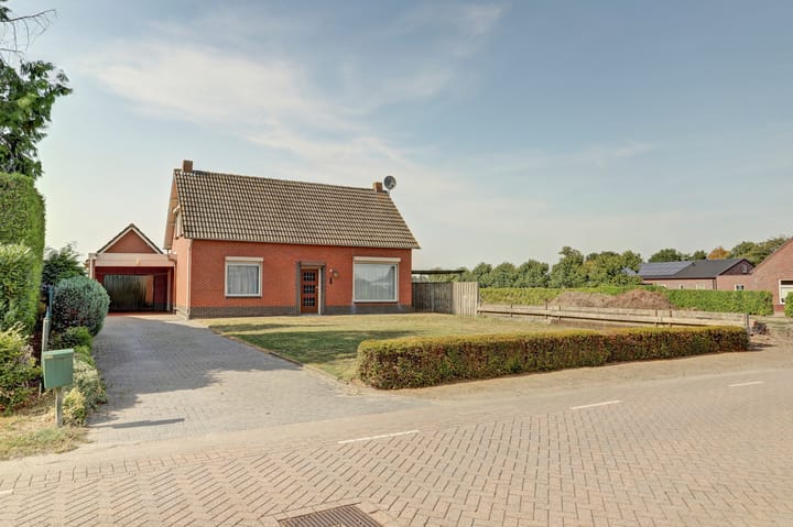 Photo 3 of Kattenbos 8