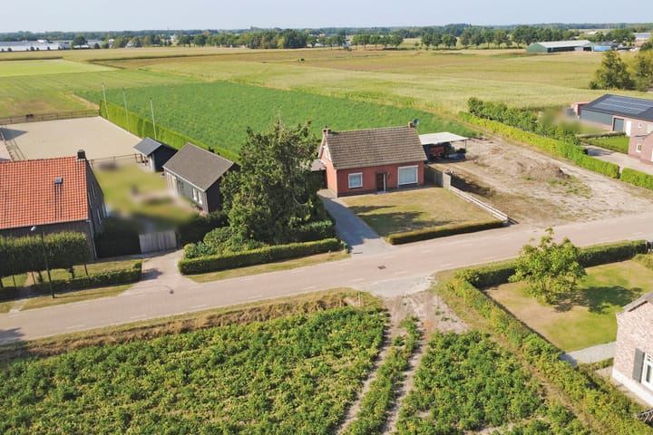 Foto 36 van Kattenbos 8