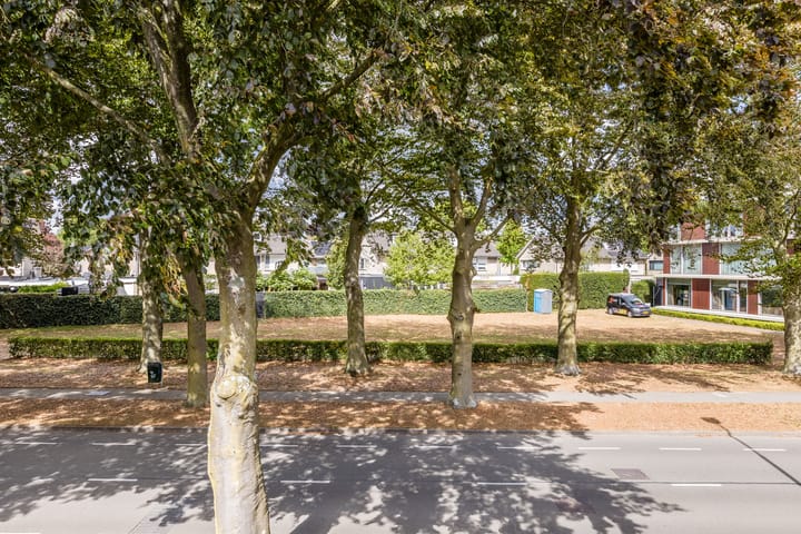 Foto 40 van Beukendreef 44