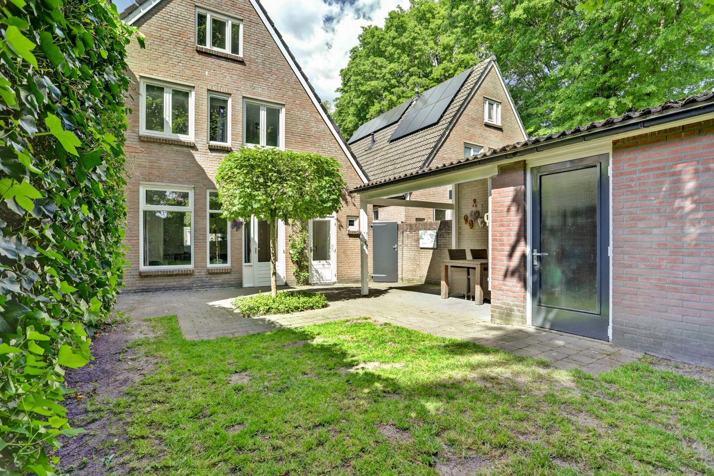 Photo 29 of Schutsboom 74