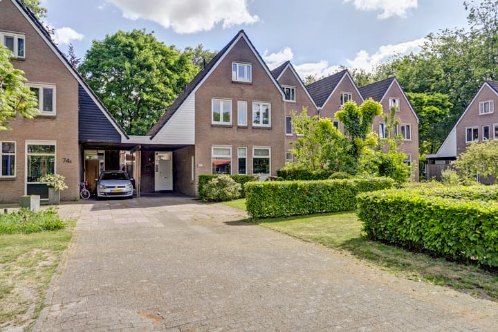 Foto 33 van Schutsboom 74