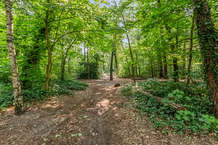 Photo 46 of De Steenkamp 126