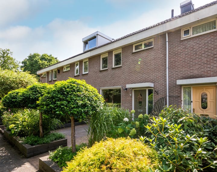 Pluutstraat 58 main image