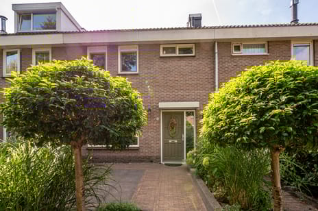 Pluutstraat 58 secondary image