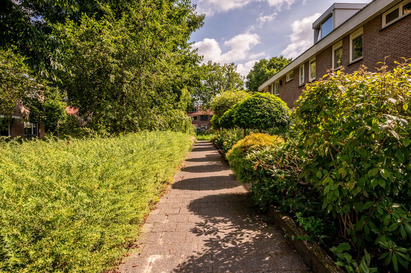 Photo 29 of Pluutstraat 58