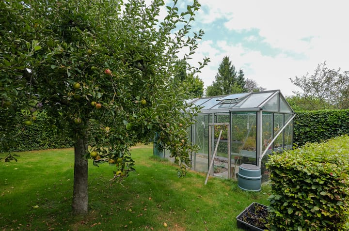 Foto 39 van Duinerlaan 5