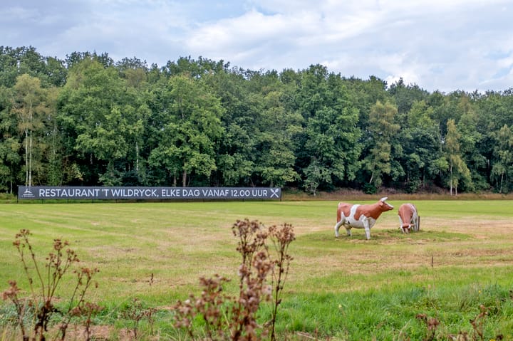 Foto 34 van Groningerweg 13-N558