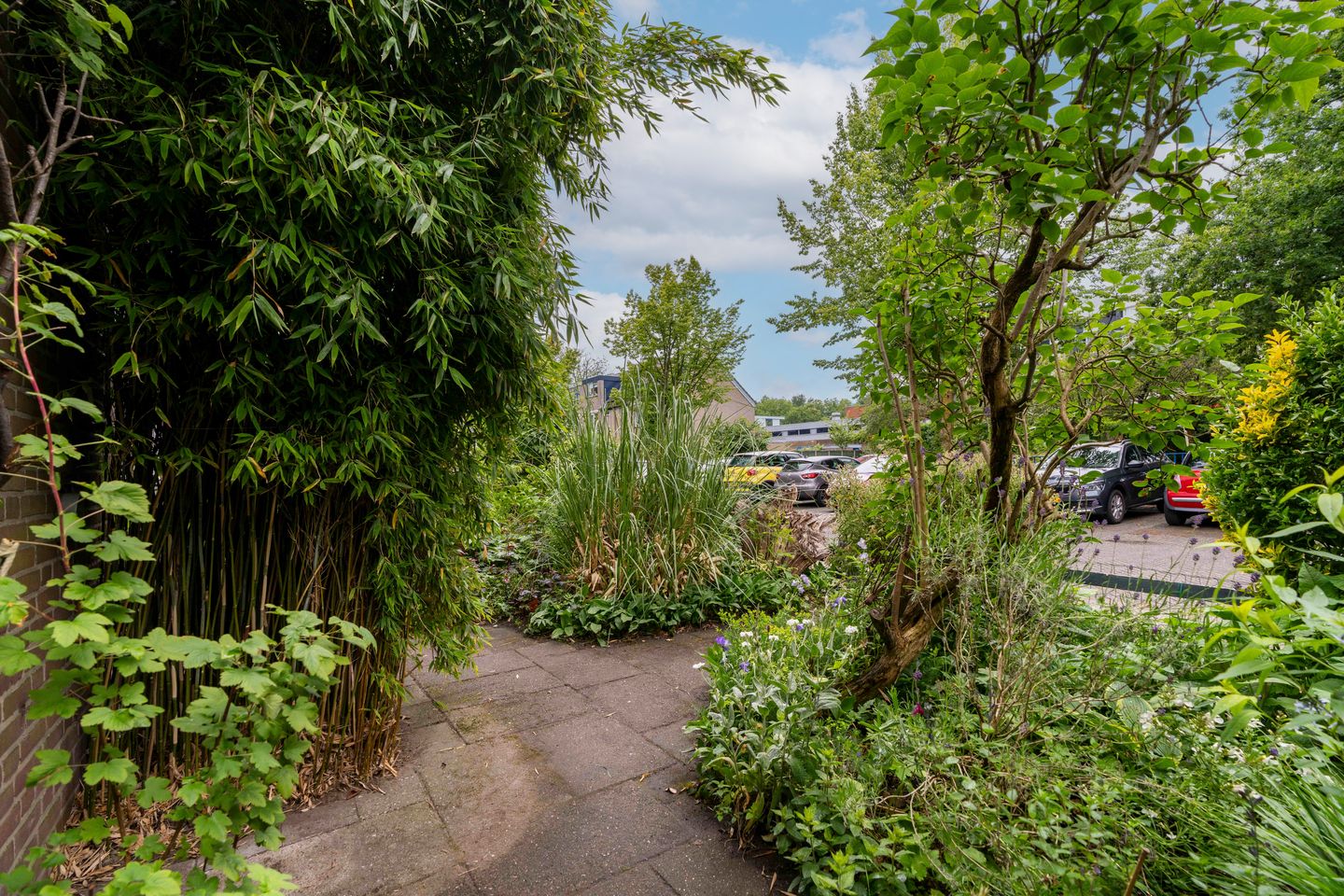 Photo 50 of Matthijs Vermeulenstraat 50