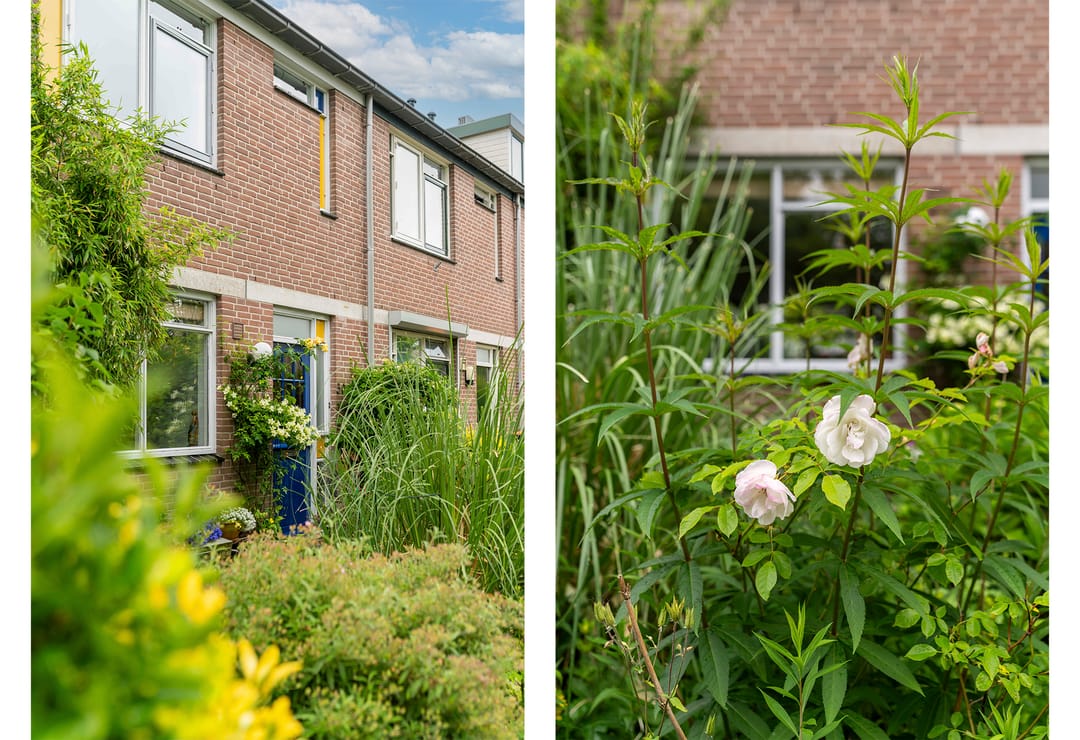 Photo 52 of Matthijs Vermeulenstraat 50