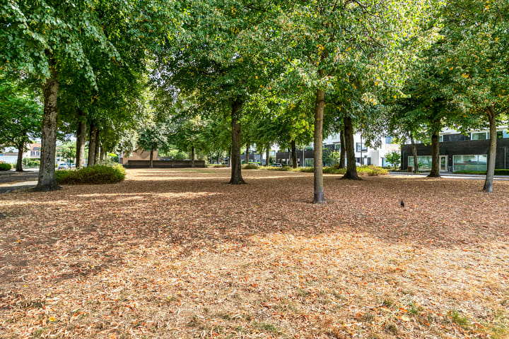 Foto 31 van Bakhuizen van den Brinklaan 73