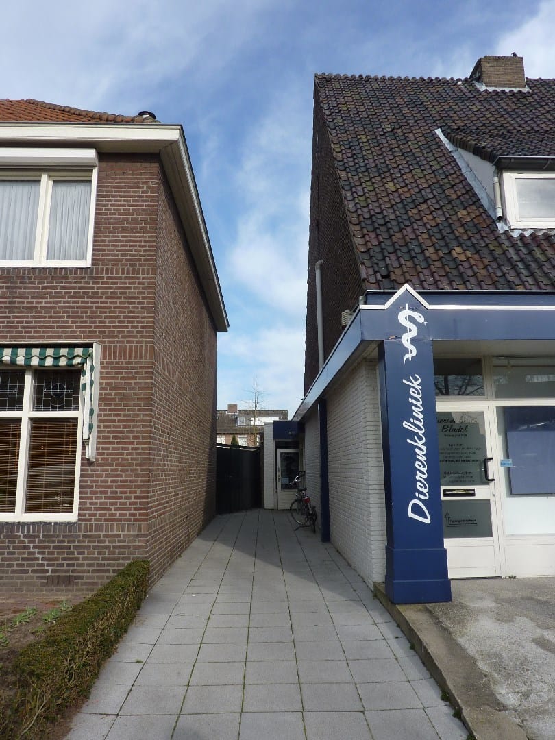 Foto 6 van Sniederslaan 76