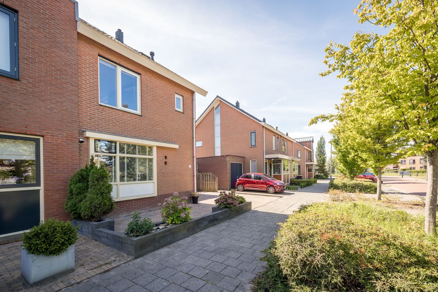 Foto 5 van Meerkoet 15