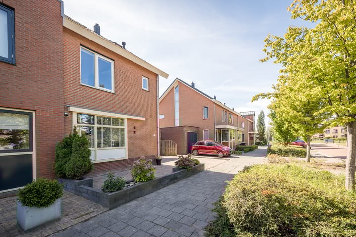 Foto 5 van Meerkoet 15