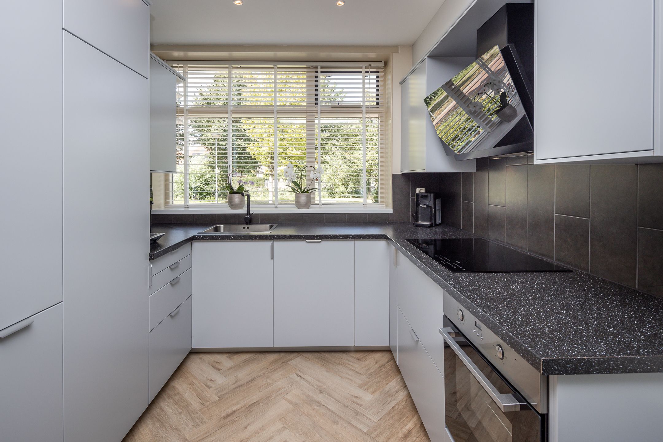 Foto 12 van Meerkoet 15