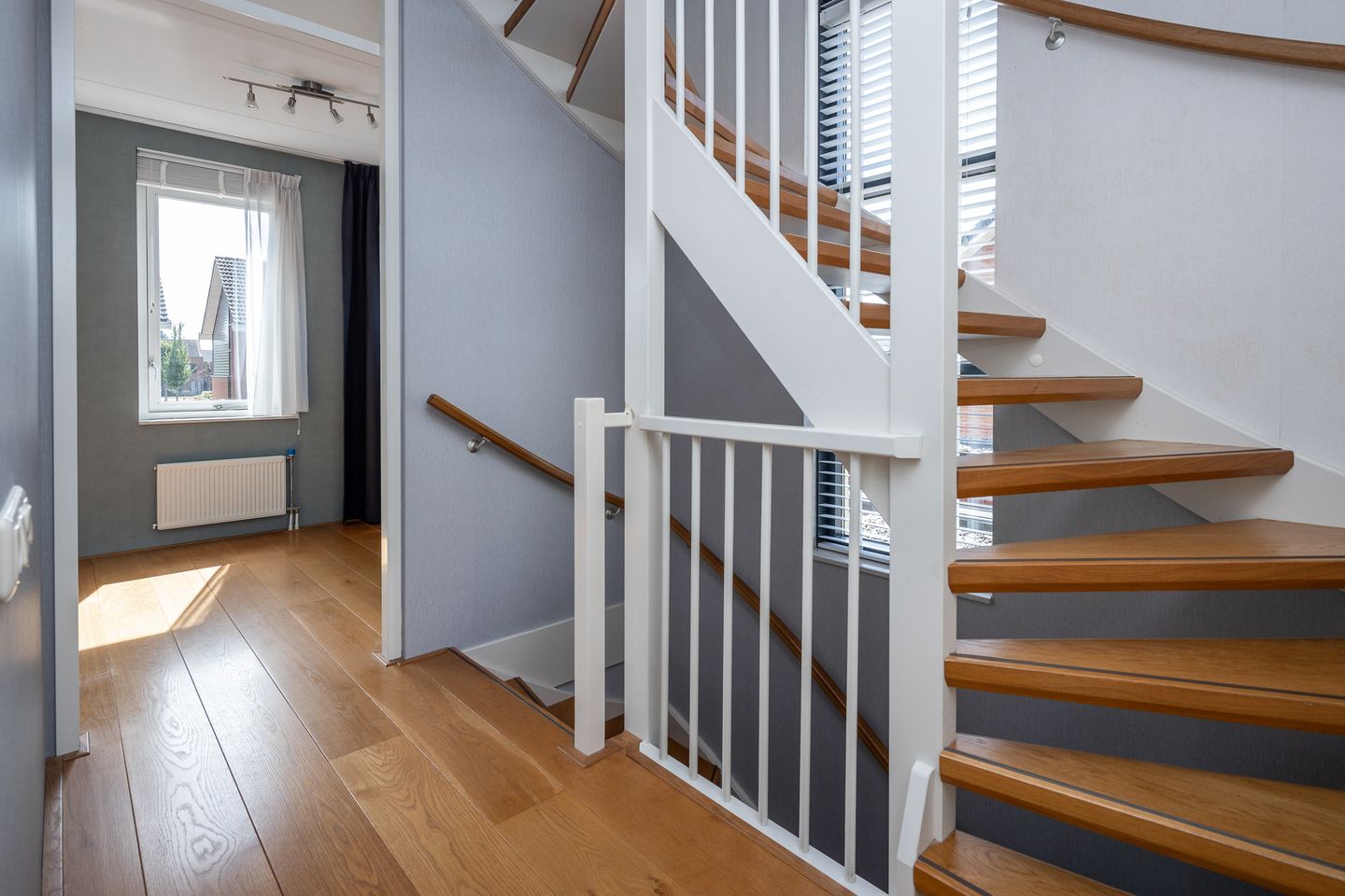 Foto 19 van Meerkoet 15