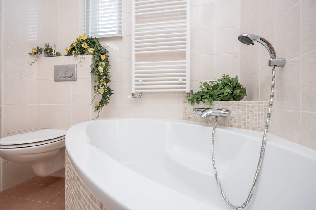 Foto 22 van Meerkoet 15