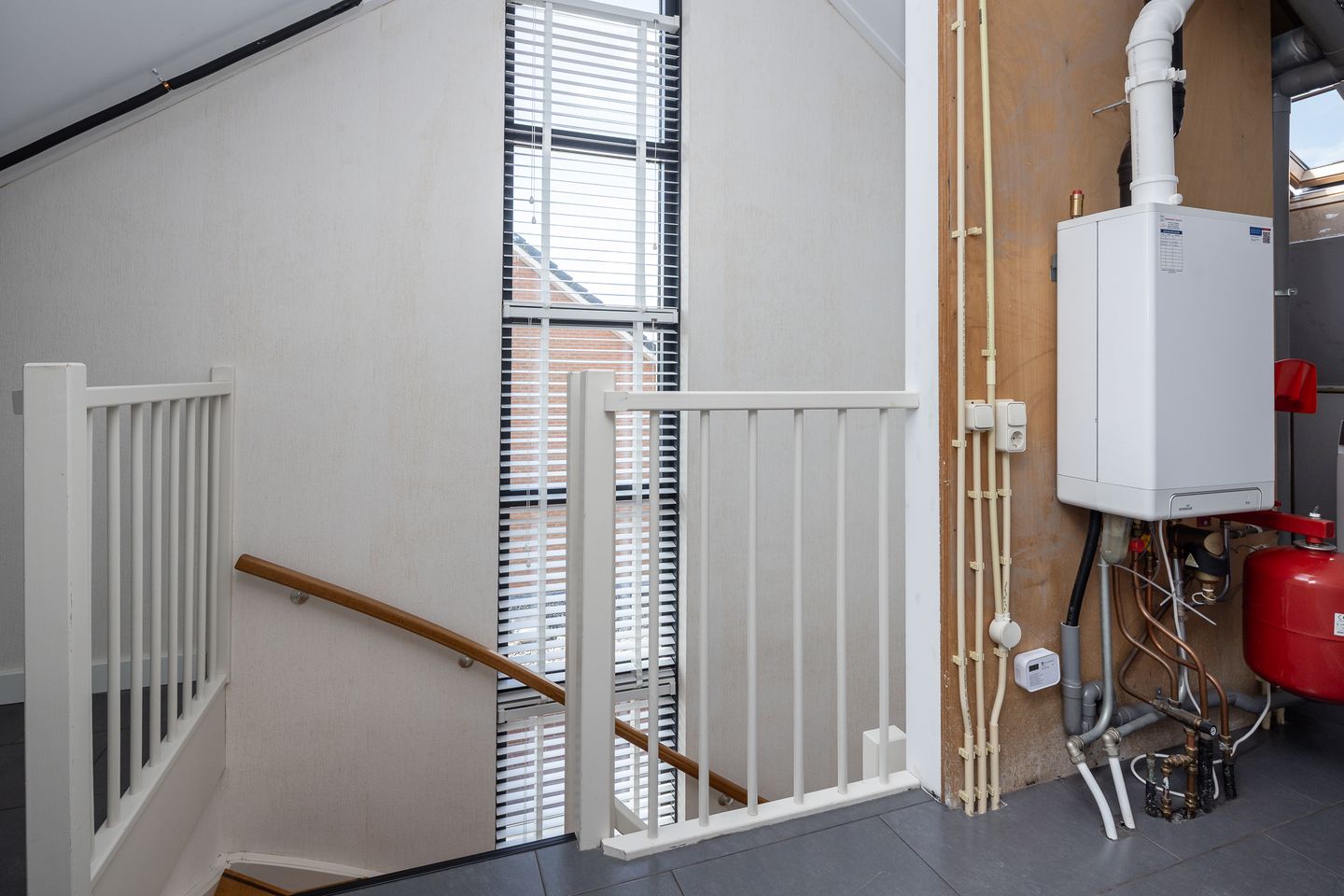 Foto 25 van Meerkoet 15