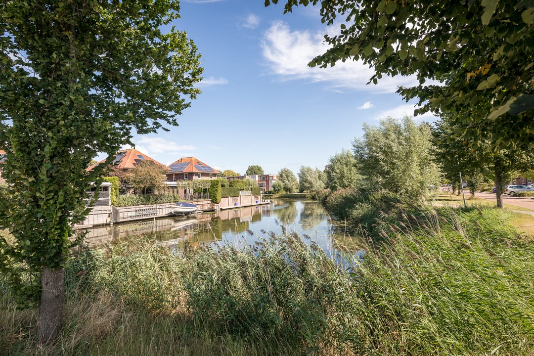 Foto 37 van Meerkoet 15