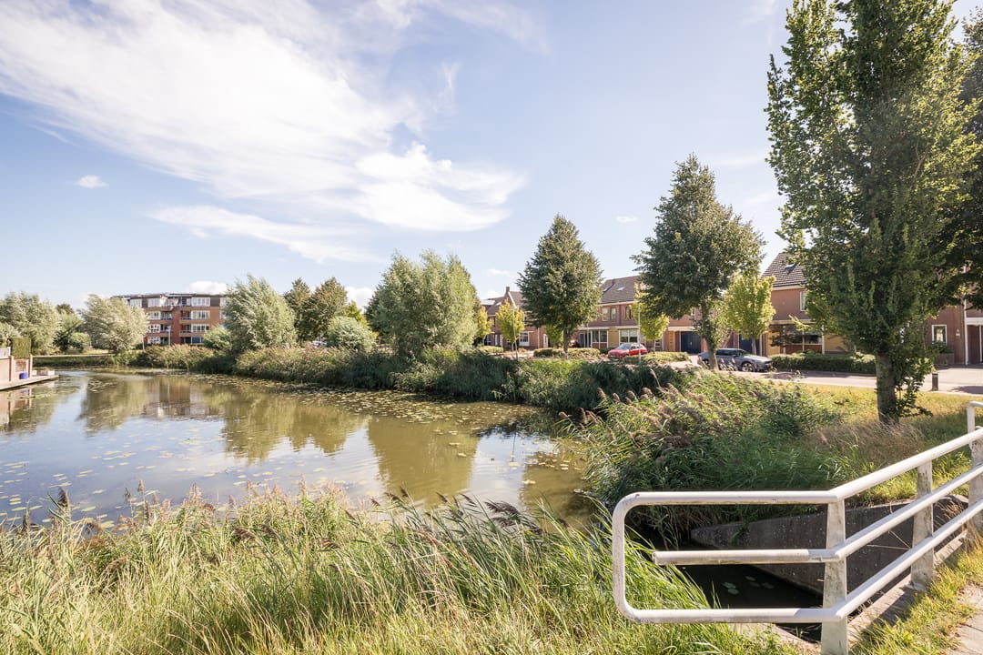 Foto 38 van Meerkoet 15