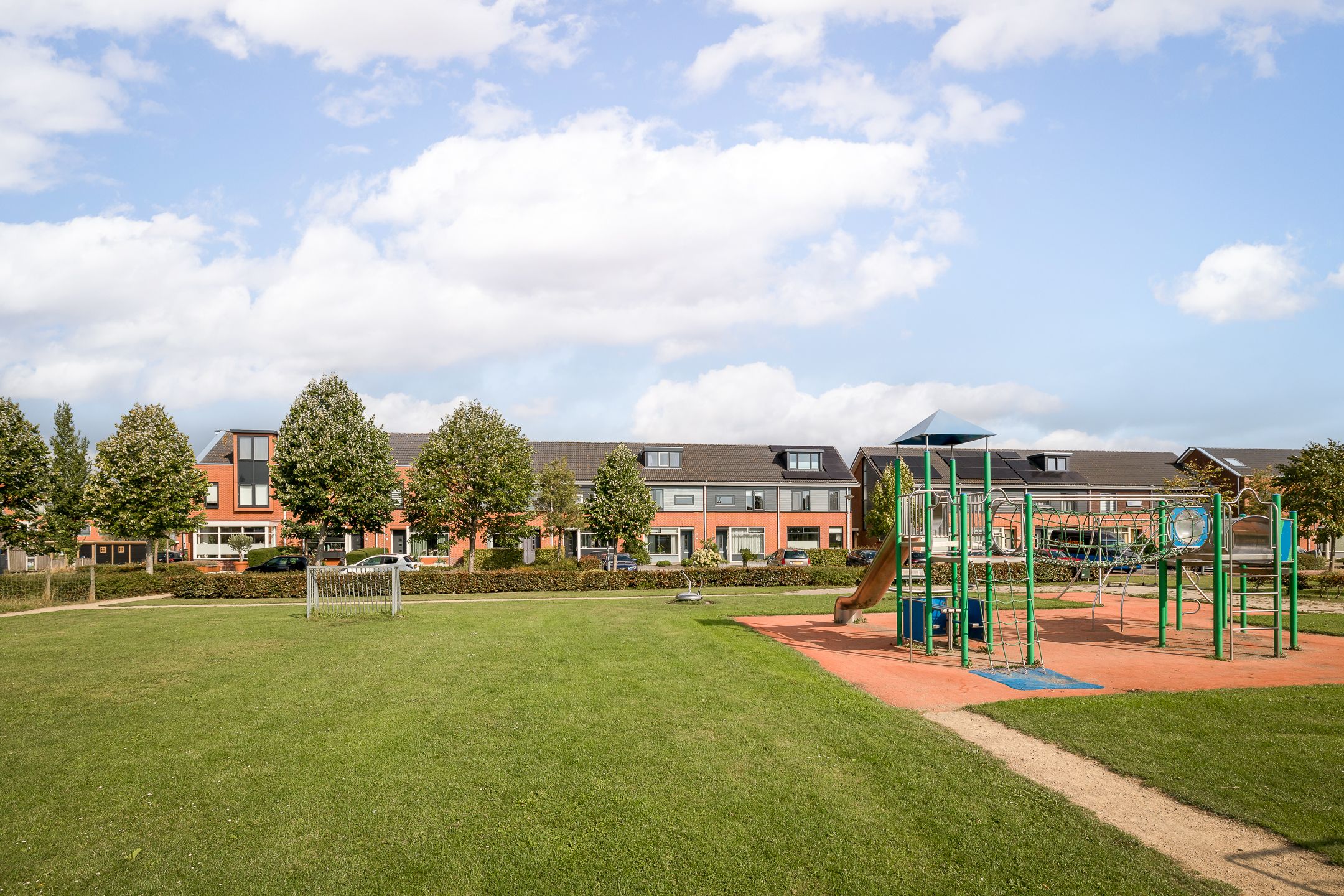 Foto 39 van Meerkoet 15