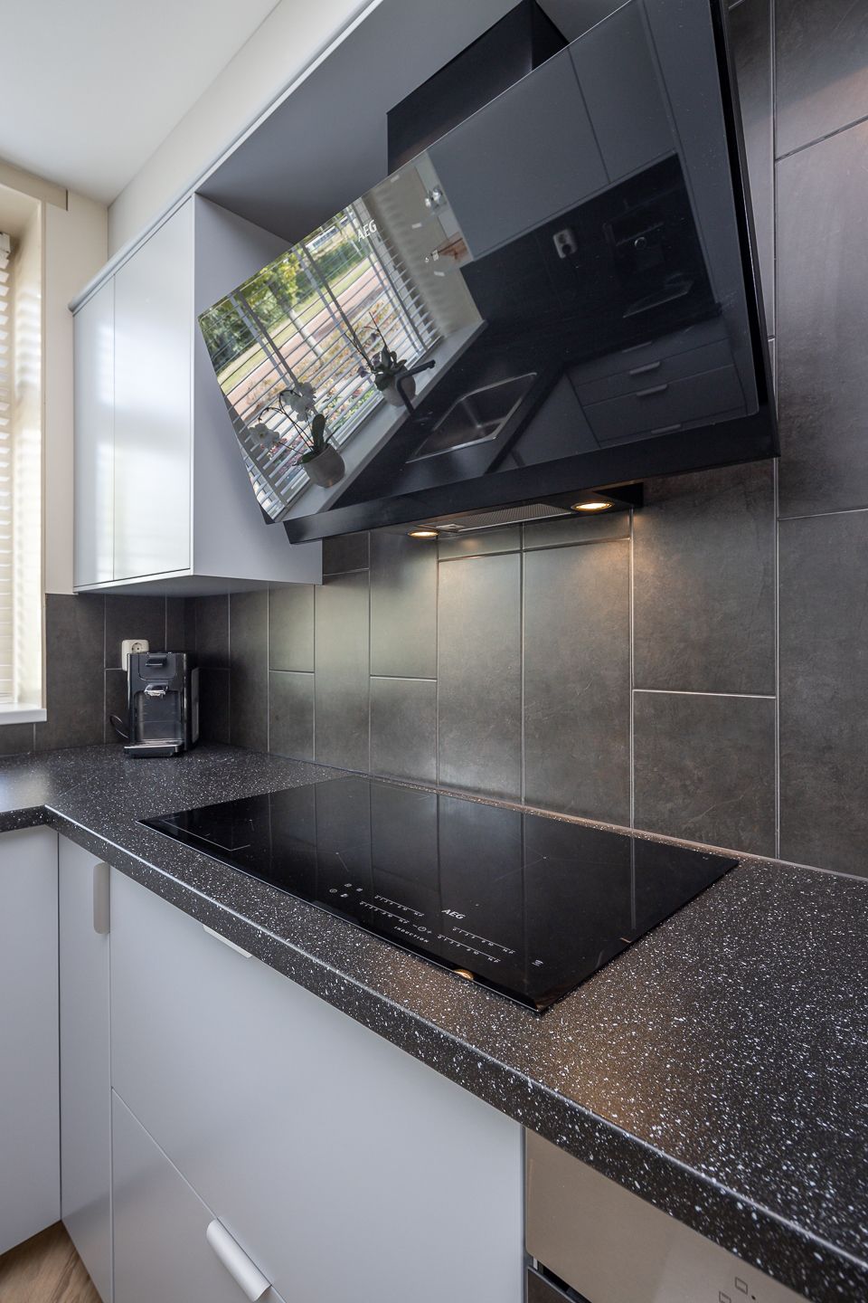 Foto 47 van Meerkoet 15