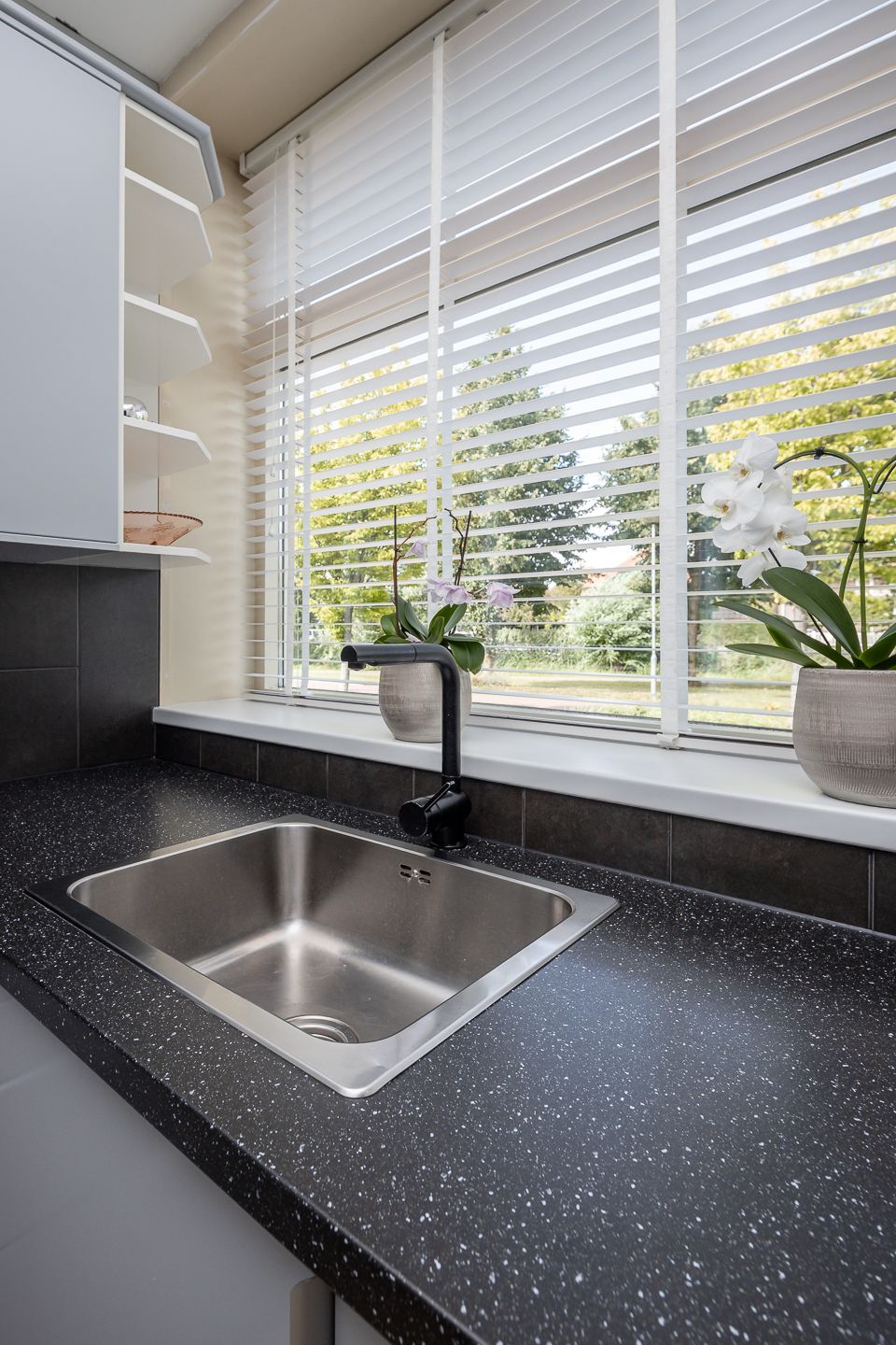 Foto 48 van Meerkoet 15