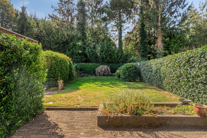 Foto 7 van Konijnenberg 66